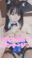 2024-01-18 17:32の投稿