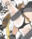 2024-01-19 00:07の投稿