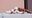 2024-01-27 19:43の投稿