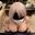 アキホちゃんがDカップブラ姿で腰掛パイズリ! (1/3)