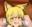2019-12-16 21:00の投稿