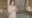 2024-02-05 19:01の投稿