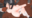 2024-02-03 21:01の投稿