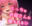 2024-02-04 20:00の投稿