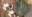 2019-12-20 11:34の投稿