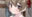 2024-02-08 20:40の投稿