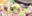 2024-02-09 00:18の投稿