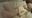 2019-12-22 04:12の投稿