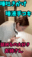 2024-02-09 23:19の投稿