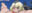 2024-02-10 00:21の投稿