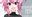 2019-12-22 16:38の投稿