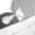 2024-02-17 21:36の投稿