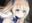 2019-12-25 17:54の投稿