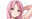 2024-02-20 15:19の投稿