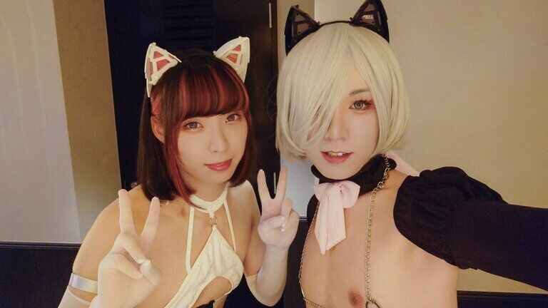猫じゃれあい (1/3)