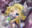 2024-02-20 20:00の投稿