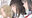 2024-02-22 19:31の投稿