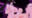2024-02-23 22:08の投稿