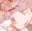2024-02-26 00:00の投稿