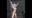 2020-01-01 00:00の投稿