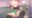 2019-12-31 23:45の投稿