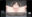 2024-03-09 20:00の投稿