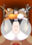 2024-04-16 00:00の投稿