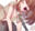 2024-03-17 21:36の投稿