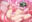 2024-03-18 14:01の投稿