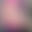 2024-03-19 19:59の投稿