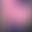 2024-03-19 20:01の投稿
