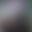 2024-03-20 01:43の投稿
