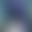 2024-03-20 13:16の投稿