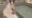 2024-03-22 19:01の投稿