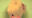 2024-03-22 19:10の投稿
