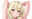 2024-03-23 15:06の投稿