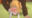 2024-03-23 18:46の投稿