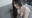 2024-03-30 18:00の投稿