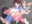 2024-04-03 21:06の投稿