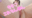 2024-04-08 17:38の投稿