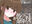 2024-04-18 00:00の投稿