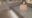 2024-04-20 19:01の投稿