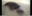 2024-04-23 07:34の投稿