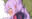 2024-04-26 20:51の投稿