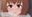 2024-04-29 01:16の投稿