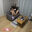 2024-05-01 19:52の投稿