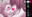 2024-05-05 20:00の投稿
