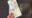2024-05-22 19:00の投稿