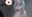 2024-05-06 14:25の投稿