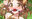 2024-05-09 19:51の投稿
